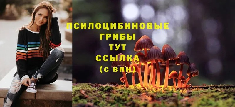 Галлюциногенные грибы MAGIC MUSHROOMS Сарапул